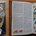 Field guides - aves (1).jpg